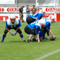 Stuttgart Scorpions Sisters vs. Mainz Golden Eagles Ladies