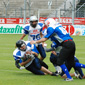 Stuttgart Scorpions Sisters vs. Mainz Golden Eagles Ladies