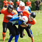 Stuttgart Scorpions Sisters vs. Salzgitter Black Widows