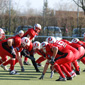 Holzgerlingen Twister vs. Stuttgart Scorpions