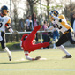 Holzgerlingen Twister vs. Stuttgart Scorpions