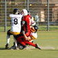 Holzgerlingen Twister vs. Stuttgart Scorpions