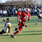 Holzgerlingen Twister vs. Stuttgart Scorpions