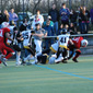 Holzgerlingen Twister vs. Stuttgart Scorpions