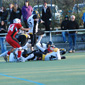 Holzgerlingen Twister vs. Stuttgart Scorpions