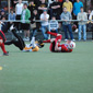 Holzgerlingen Twister vs. Stuttgart Scorpions