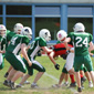 Stuttgart Scorpions Juniors vs. Schwäbisch Hall Unicorns Juniors