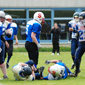 Stuttgart Scorpions Sisters vs. Mainz Golden Eagles Ladies