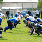 Stuttgart Scorpions Sisters vs. Mainz Golden Eagles Ladies