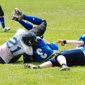 Stuttgart Scorpions Sisters vs. Mainz Golden Eagles Ladies