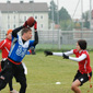 Hallowien Bowl VI, Wien