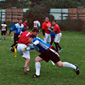 Hallowien Bowl VI, Wien