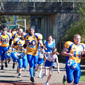 Backnang Wolverines vs. Bad Mergentheim Wolfpack