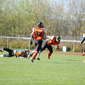 Backnang Wolverines vs. Bad Mergentheim Wolfpack