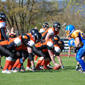 Backnang Wolverines vs. Bad Mergentheim Wolfpack