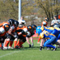 Backnang Wolverines vs. Bad Mergentheim Wolfpack