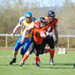 Backnang Wolverines vs. Bad Mergentheim Wolfpack