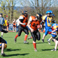 Backnang Wolverines vs. Bad Mergentheim Wolfpack