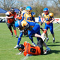 Backnang Wolverines vs. Bad Mergentheim Wolfpack