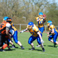 Backnang Wolverines vs. Bad Mergentheim Wolfpack