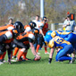 Backnang Wolverines vs. Bad Mergentheim Wolfpack