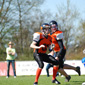 Backnang Wolverines vs. Bad Mergentheim Wolfpack