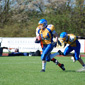 Backnang Wolverines vs. Bad Mergentheim Wolfpack