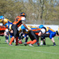 Backnang Wolverines vs. Bad Mergentheim Wolfpack