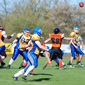 Backnang Wolverines vs. Bad Mergentheim Wolfpack