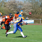 Backnang Wolverines vs. Bad Mergentheim Wolfpack