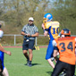 Backnang Wolverines vs. Bad Mergentheim Wolfpack