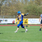 Backnang Wolverines vs. Bad Mergentheim Wolfpack