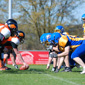 Backnang Wolverines vs. Bad Mergentheim Wolfpack