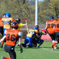 Backnang Wolverines vs. Bad Mergentheim Wolfpack