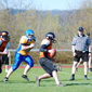 Backnang Wolverines vs. Bad Mergentheim Wolfpack