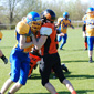 Backnang Wolverines vs. Bad Mergentheim Wolfpack