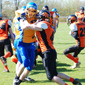 Backnang Wolverines vs. Bad Mergentheim Wolfpack