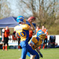 Backnang Wolverines vs. Bad Mergentheim Wolfpack