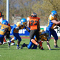 Backnang Wolverines vs. Bad Mergentheim Wolfpack