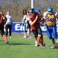 Backnang Wolverines vs. Bad Mergentheim Wolfpack