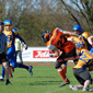 Backnang Wolverines vs. Bad Mergentheim Wolfpack