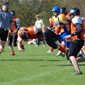 Backnang Wolverines vs. Bad Mergentheim Wolfpack