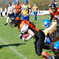 Backnang Wolverines vs. Bad Mergentheim Wolfpack