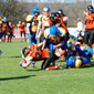 Backnang Wolverines vs. Bad Mergentheim Wolfpack