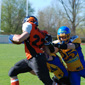 Backnang Wolverines vs. Bad Mergentheim Wolfpack