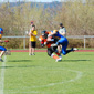 Backnang Wolverines vs. Bad Mergentheim Wolfpack