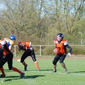 Backnang Wolverines vs. Bad Mergentheim Wolfpack