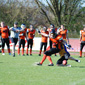 Backnang Wolverines vs. Bad Mergentheim Wolfpack