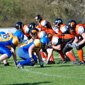 Backnang Wolverines vs. Bad Mergentheim Wolfpack