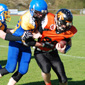 Backnang Wolverines vs. Bad Mergentheim Wolfpack